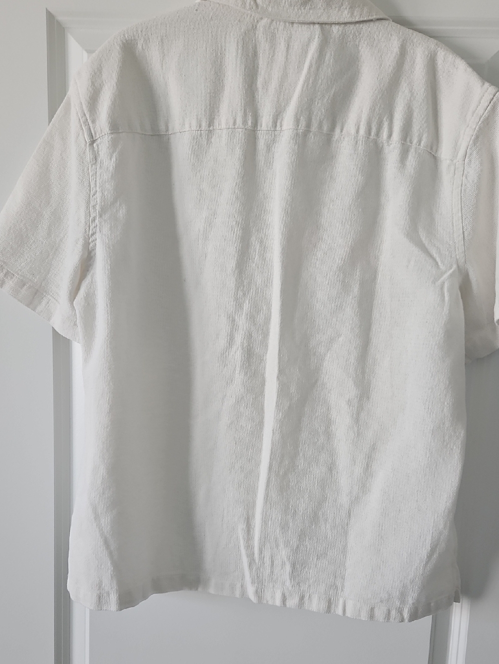 Cactus Man Ricky Singh Relaxed Short-Sleeve Men’s Shirt - Picture 3 of 6